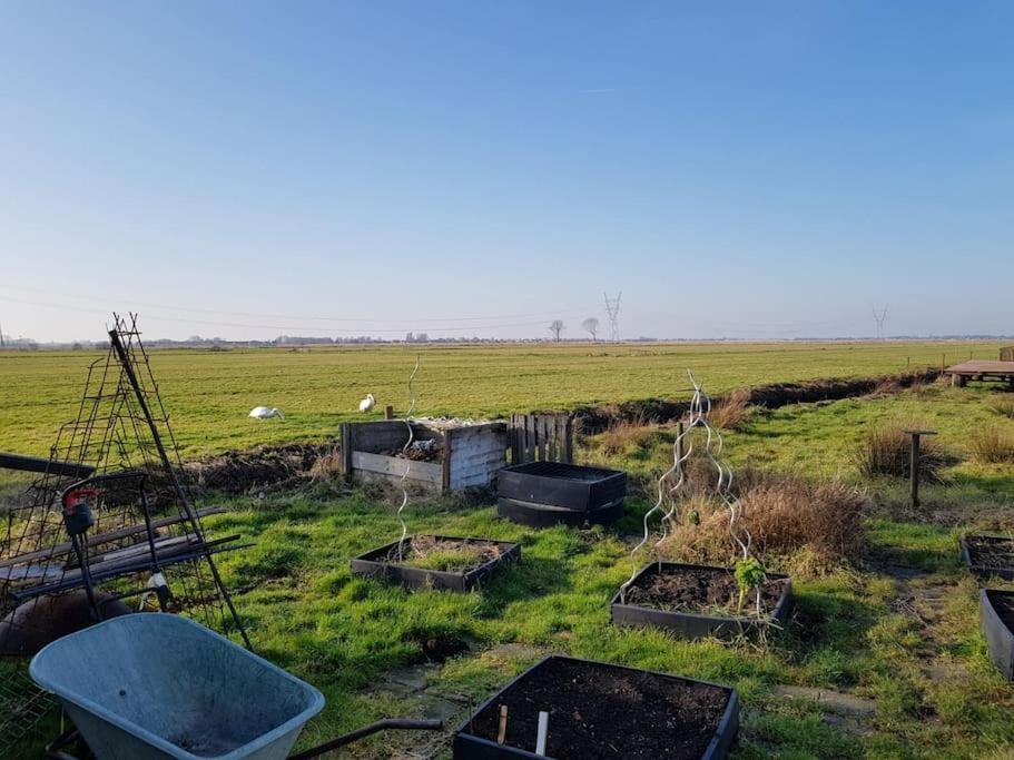 Out Of Amsterdam, River Apartment Close To City Broek in Waterland Exterior photo